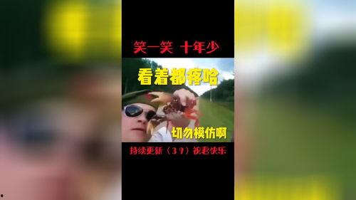 搞笑视频里的音乐